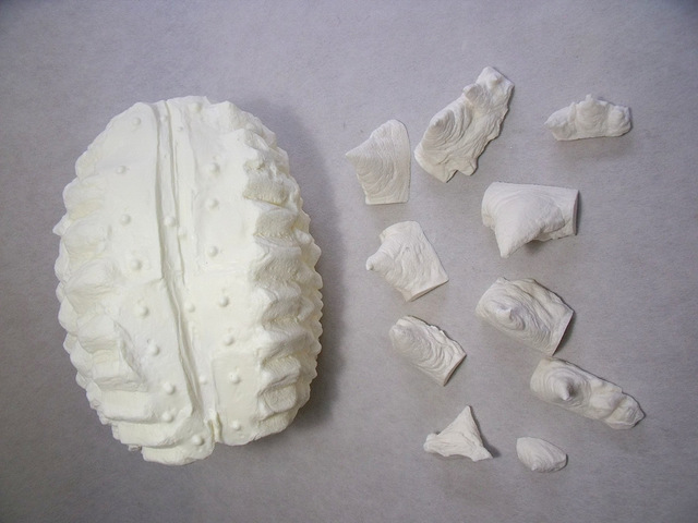 DSCF9035.JPG