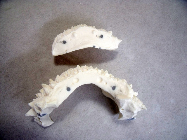 DSCF9318.JPG