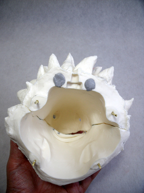DSCF9391.JPG