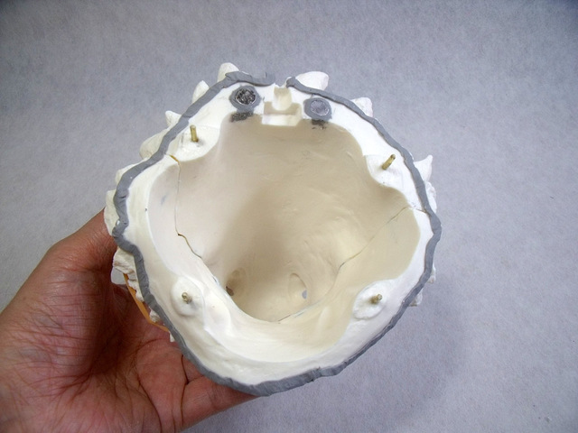 DSCF9507.JPG