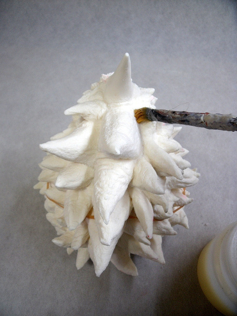 DSCF9611.JPG