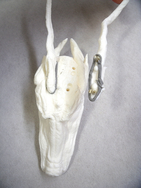 DSCF1355.JPG