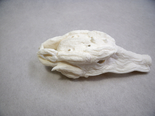 DSCF1392.JPG